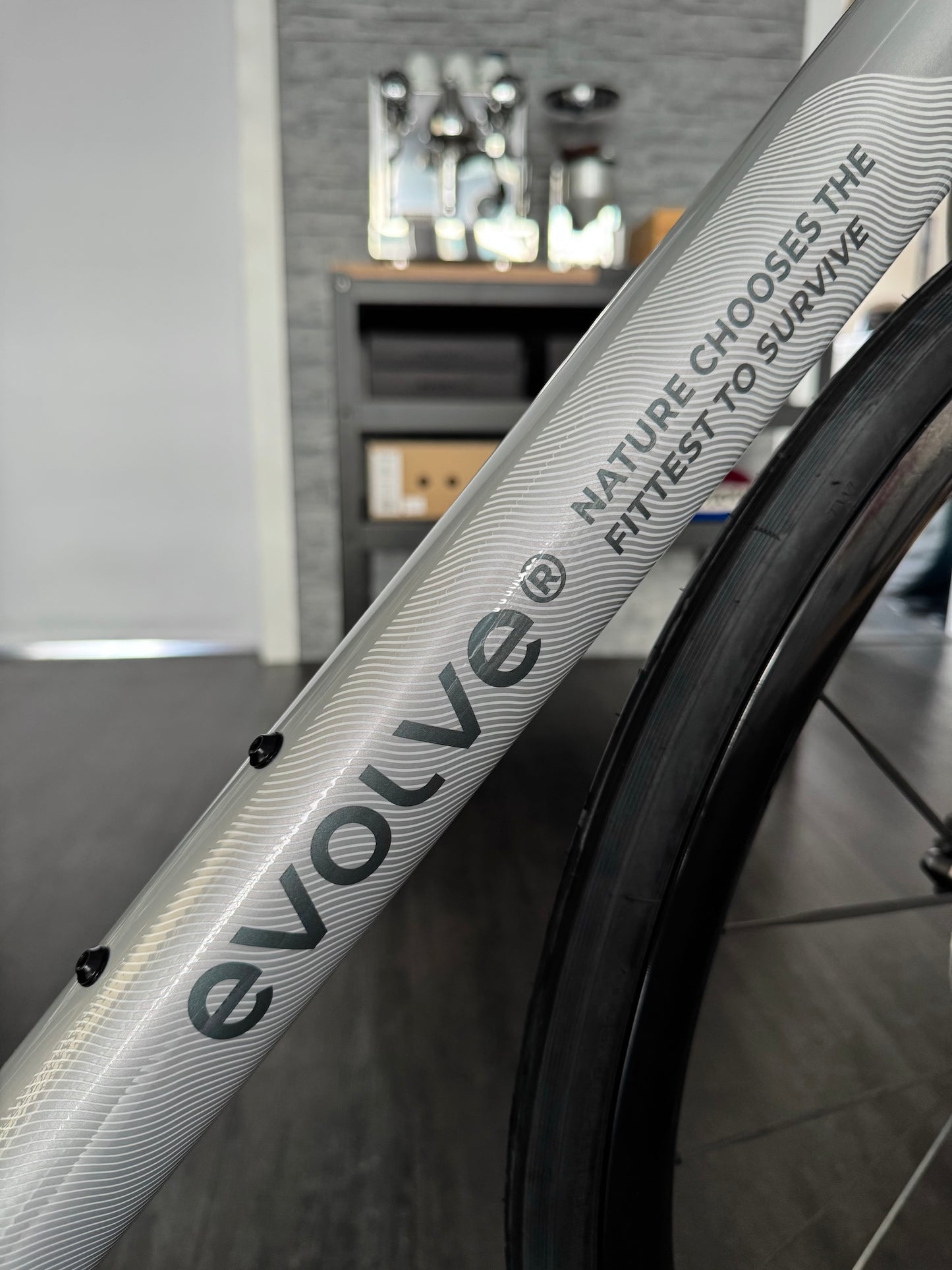 Evolve CIMA